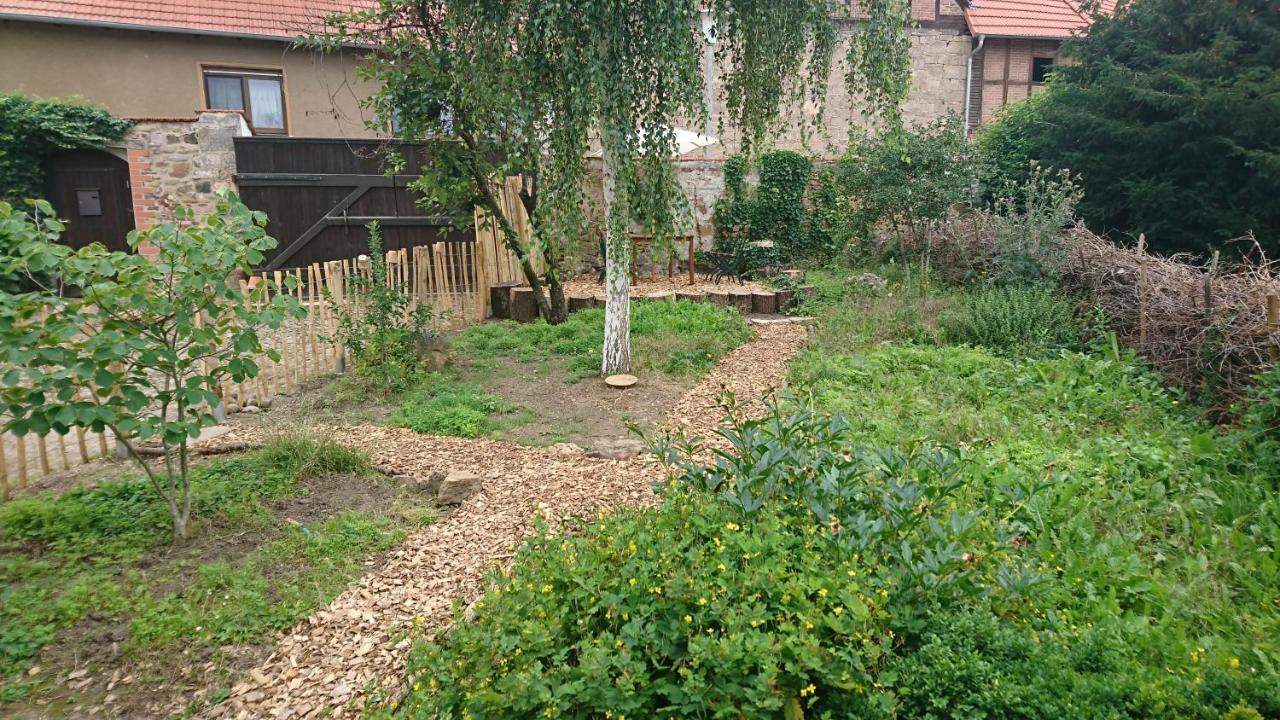 Huette Mit Herz Im Harz Apartment Meisdorf Exterior foto