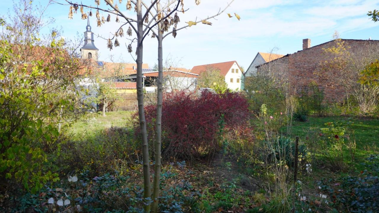 Huette Mit Herz Im Harz Apartment Meisdorf Exterior foto
